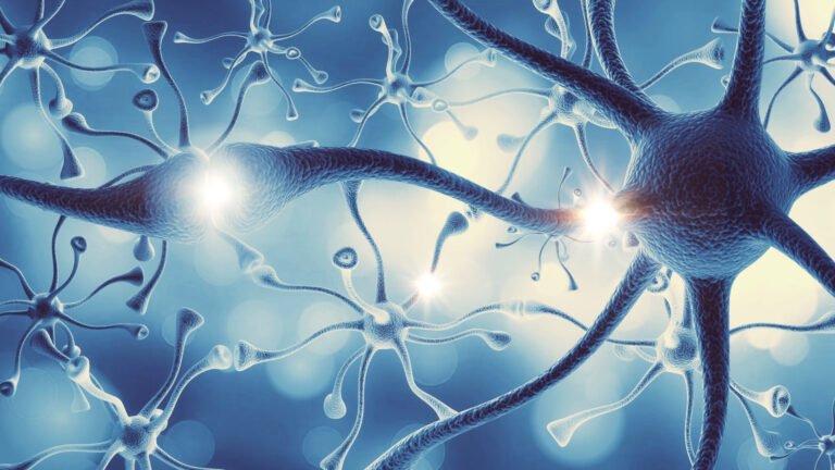 Neurotransmitter