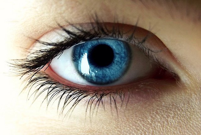 Ein blaues Auge ist zu sehen. Kann Cannabis den Augen schaden?