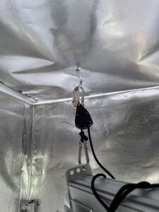 man sieht, wie Lampfen mit einem Haken und Schnüre in einem Growschrank befestigt sind. 