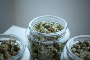 Cannabis vaporisieren ist ein stetig wachsender Trend.