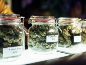 verschiedene Cannabissorten in Weckgläsern