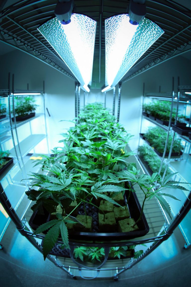 Der Growroom. Materialien und Aufbau