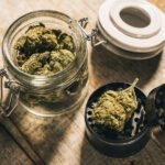 Ein offenes Weckglas mit Cannabisblüten und ein schwarzer Grinder, ebenfalls mit einer Cannabisblüte darin. Diese Dinge benötigt man als Patient evtl. für die optimale Dosierung von Cannabisarzneien.