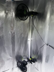 Hier sieht man zwei Ventilatoren in einem Growschrank