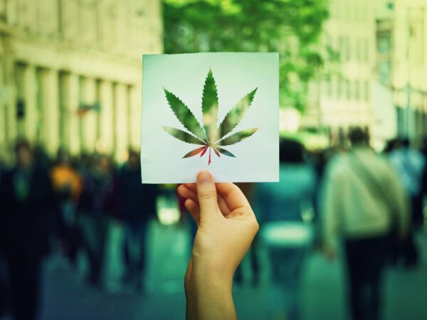 eine Hand hält ein Batt Papier hoch, in das ein Cannabis Blatt geschnitten ist.