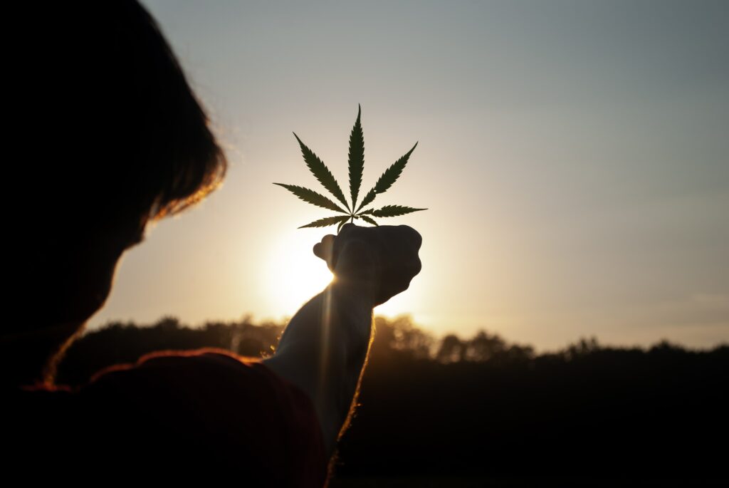 Ein Mann hält ein Cannabisblatt gegen die Sonne. Cannabis bringt, wie jedes andere Medikament, Nebenwirkungen mit sich.