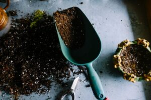 Zu sehen ist ein kleiner Haufen Erde mit einer mintfarbenen kleinen Gartenschaufel aus Metall. Vielleicht handelt es sich hierbei um Growerde.