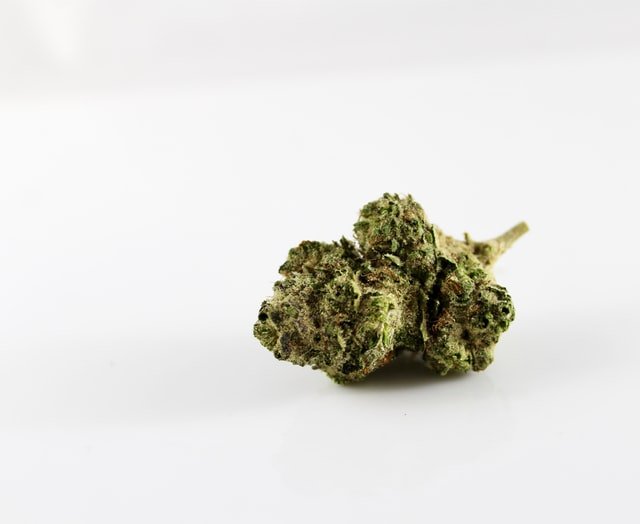 Eine grüne Cannabisblüte ist zu sehen. Ob sie Brix enthält, ist nicht zu sehen.