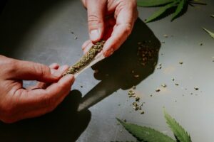 Pedanios 22/1 kann auch als Joint geraucht werden. Hier sind zwei Händer zu sehen, die einen Joint drehen und Cannabisblätter.