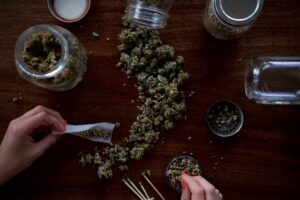 Ein Budtender kennt die unterschiedlichen Sorten und deren Wirkungsweise
