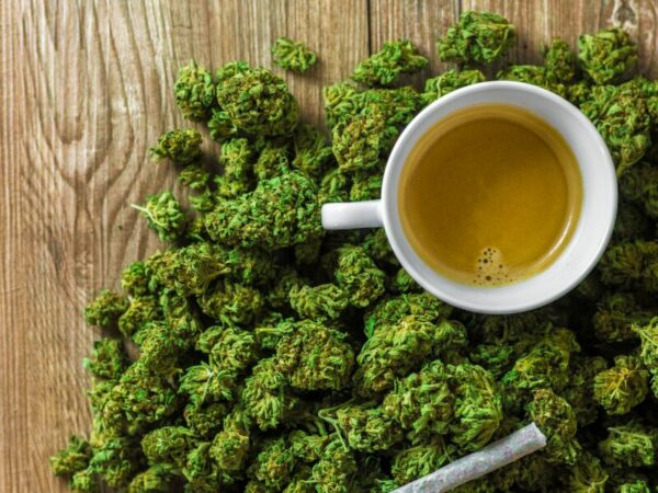 Cannabis Tee. Eine Tasse mit Tee steht auf Cannabisblüten. 