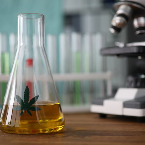 Ein Laborbehältnis mit gelber Flüßigkeit und einem Cannabisblatt darauf sind zu sehen. Dahinter sieht man ein Gerät zur Vergrößerung.