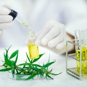 das Bild ist auf einem weißen Tisch aufgenommen worden. Ein Mensch mit weißem Laborkittel und Einmalhandschuhen tropft eine gelbliche Flüßigkeit in ein Gefäß. Daneben liegen Cannabispflanzen