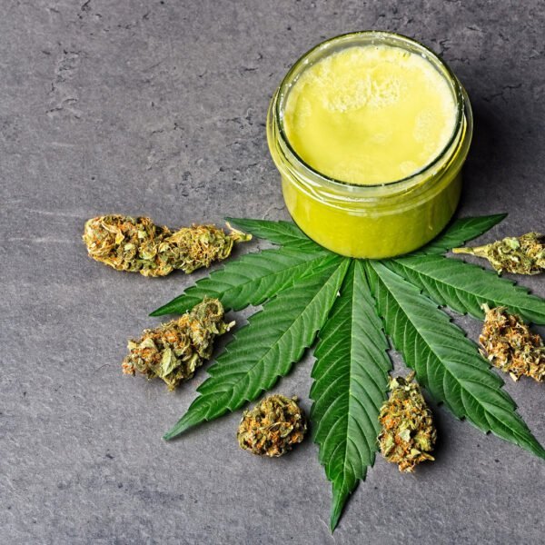 Sind CBD Blüten legal? ein Tigelchen mit einer grünlichen Salbe ist zu sehen, evtl. eine Hanfsalbe, denn das Tigelchen steht auf einem Hanfblatt auf dem Hanfblüten liegen.