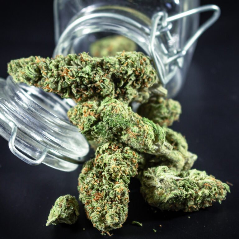 Cannabis fermentieren. So einfach geht das curen!