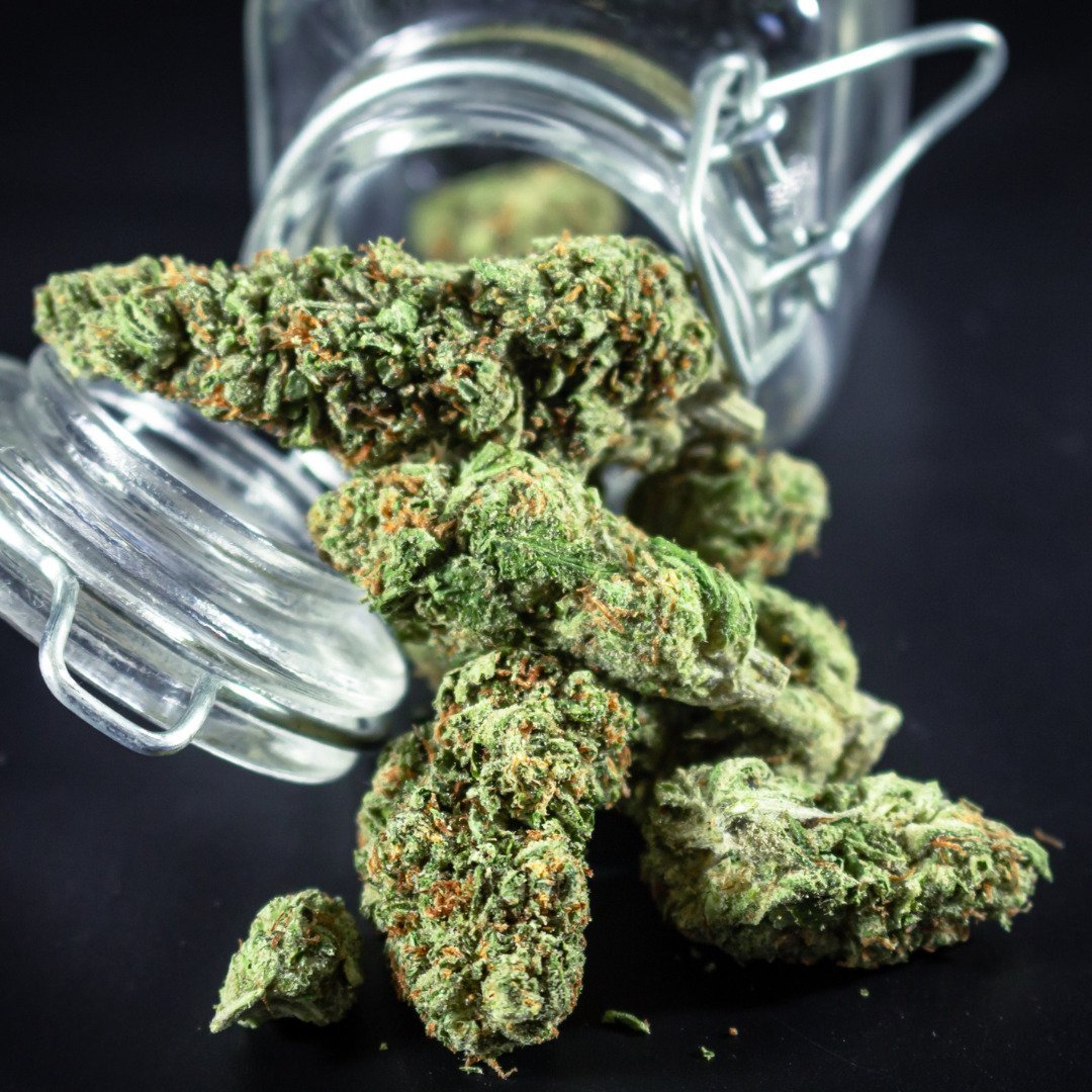 Ein Einweckglas ist zu sehen, das umgekippt ist und aus dem Cannabisblüten heraus gefallen sind. Das das Glas dient dem Vorgang zum Cannabis fermentieren.