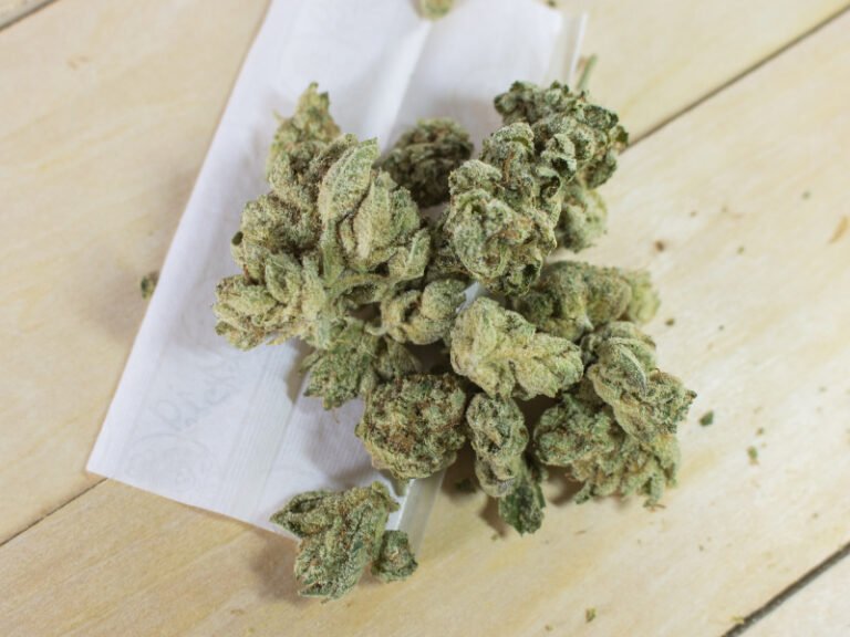 Ott: Die umfassende Bedeutung des Begriffs in der Cannabis-Kultur!