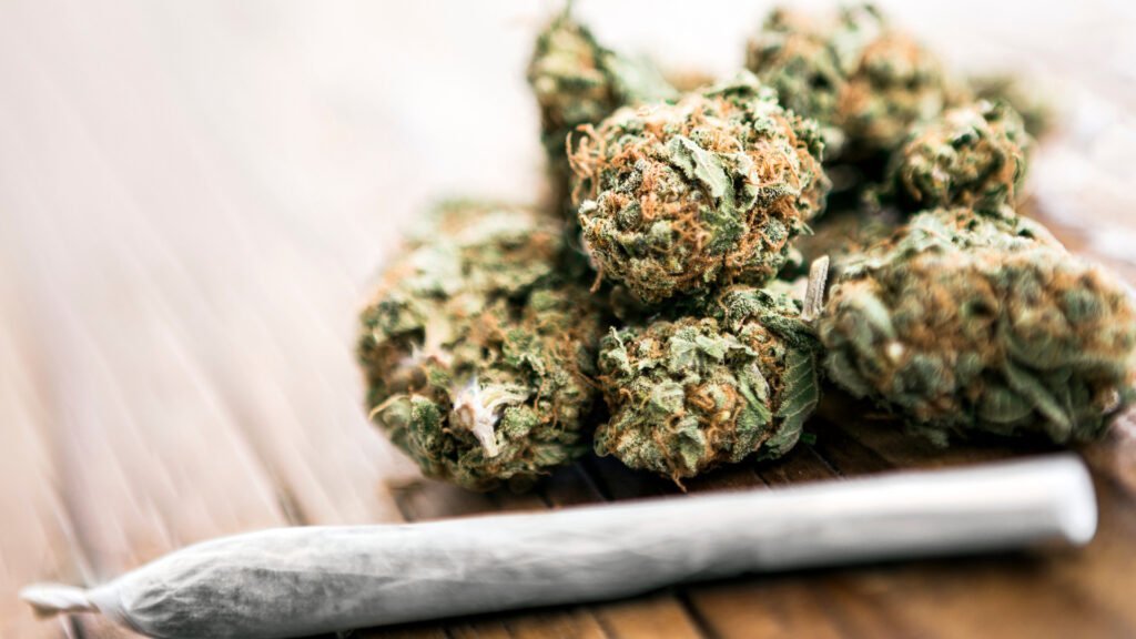 Ein Joint und Cannabisblüten