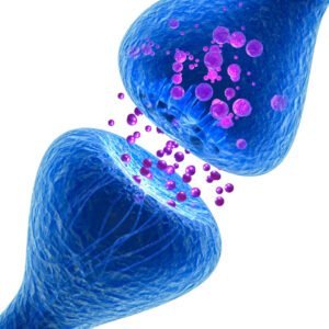 Neurotransmitter