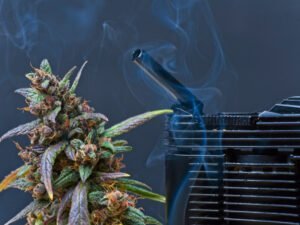Ein Vaporizer und eine Cannabisblüte