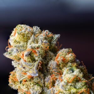 Jack Herer Blüte
