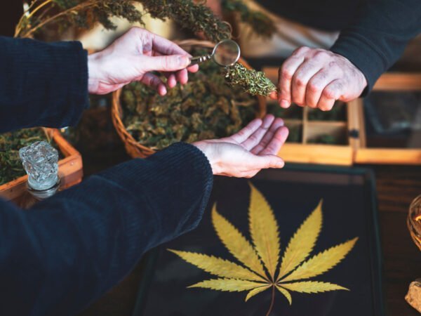 Cannabis Clubs, sollen in Deutschland zukünftig eröffnet werden. Hier sieht man zwei Handpaare, wie sich Cannabis übergeben.