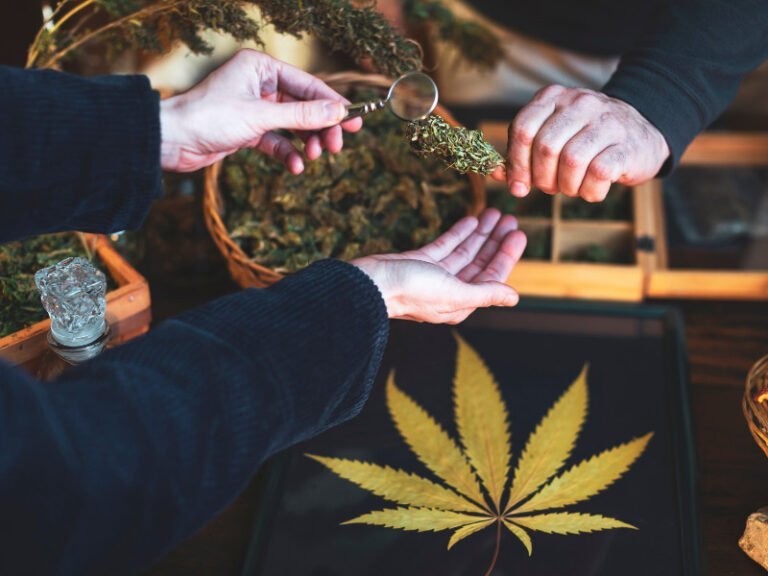 Cannabis Clubs in Deutschland. Voraussetzungen und Regelungen