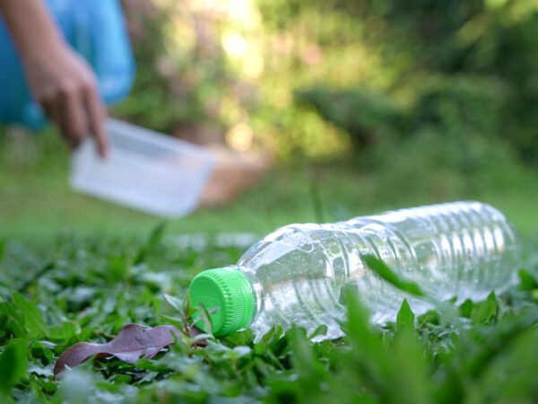 Eine Plastikflasche liegt im Gras