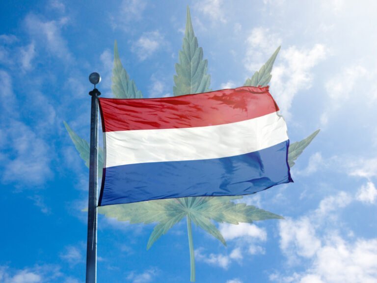 Gras in den Niederlanden: legal, illegal, voll egal