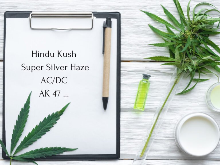 Medizinische Cannabis Strains und ihr Einsatz