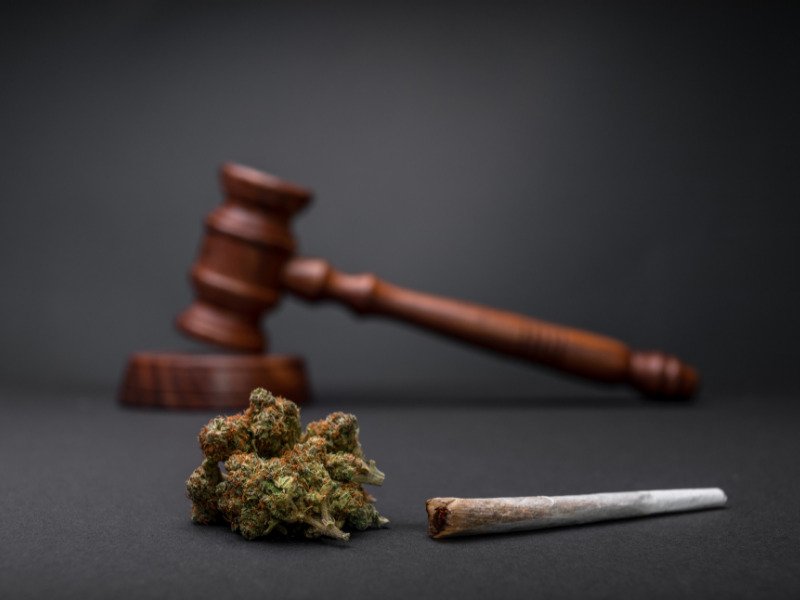 Cannabis Legalisierung