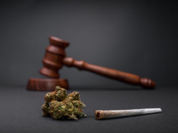 Ein Richterhammer hinter einer Cannabisblüte und einem Joint.