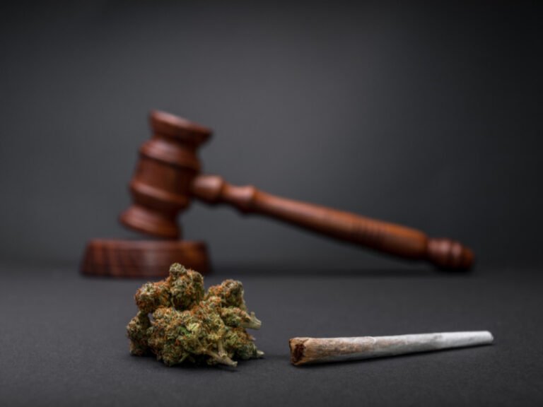 Cannabisbasierte Strafen nach dem neuen CanG löschen lassen
