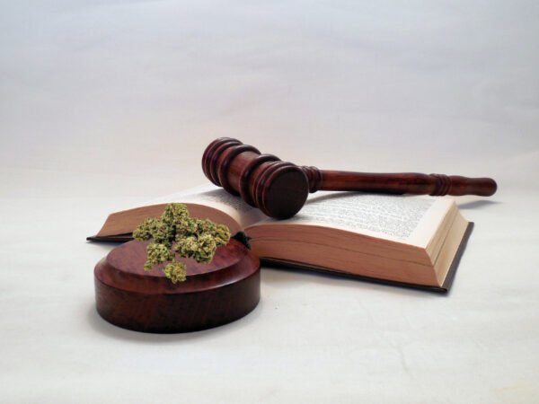 Ein RIchterschläger auf einem Gesetzesbuch neben Cannabisblüten