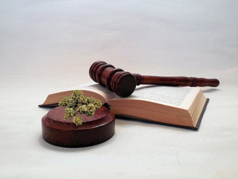 Ein RIchterschläger auf einem Gesetzesbuch neben Cannabisblüten