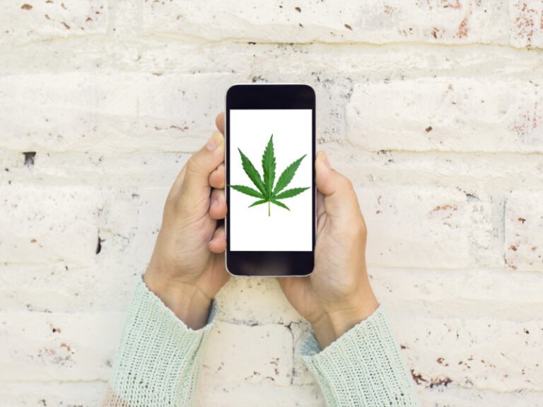 Neu gegründete Hanf-App Gesellschaft erhält großes Investment