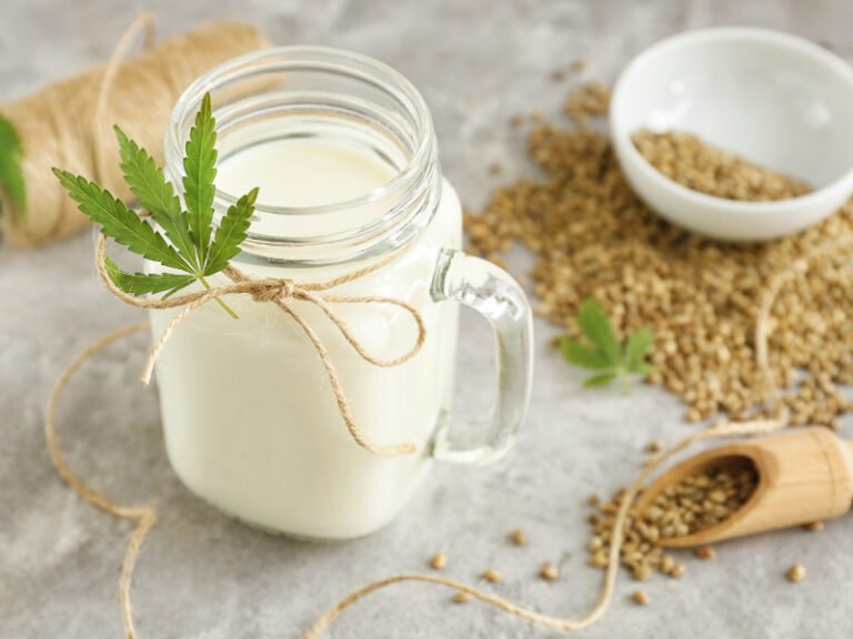 Hanfmilch- Grüne Power für Gesundheit und Genuss
