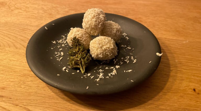 Canna Kokos Kugeln- ein exotischer Genuss