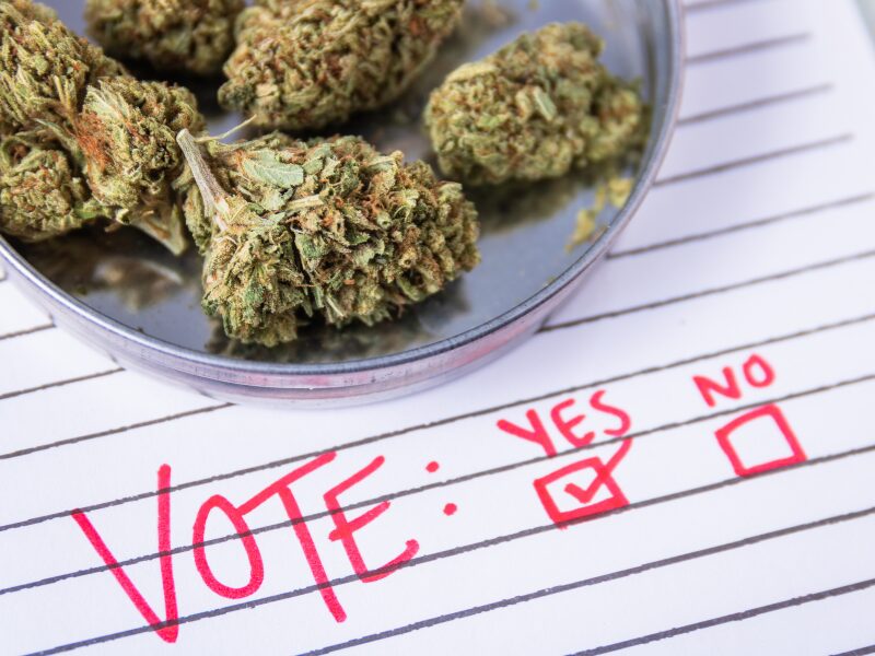 Vote yes or no für das CanG.