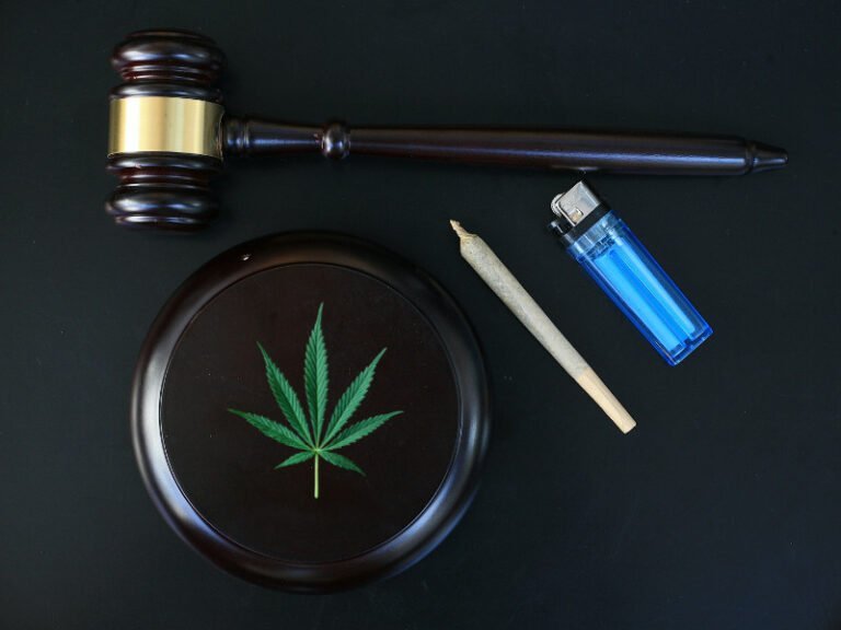 SPD plant Lesung des CanG. im Januar