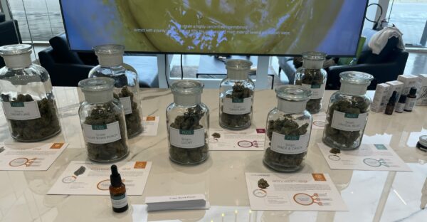 Die Strains von Cannamedical und Sinseritas EU