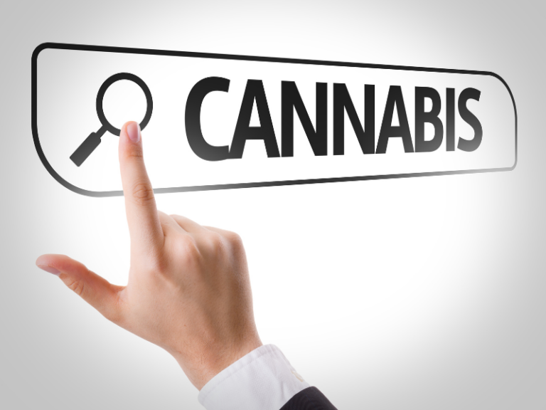 Erhöhtes online Suchinteresse an Cannabis