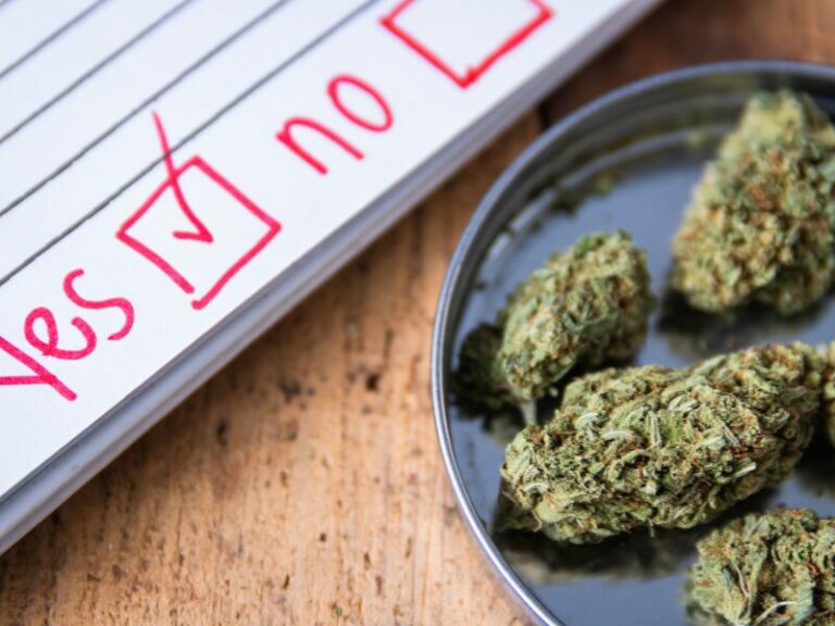 Europäischer Austausch zur Cannabisregulierung