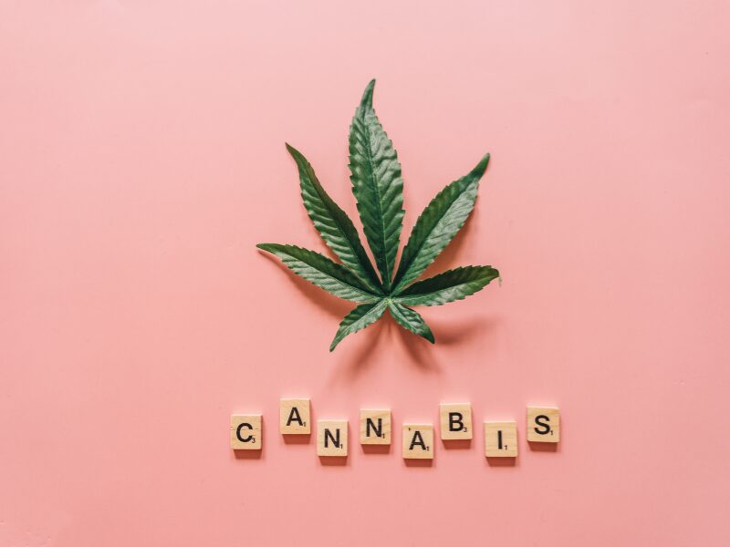 Ein Cannabisblatt unter dem Cannabis steht