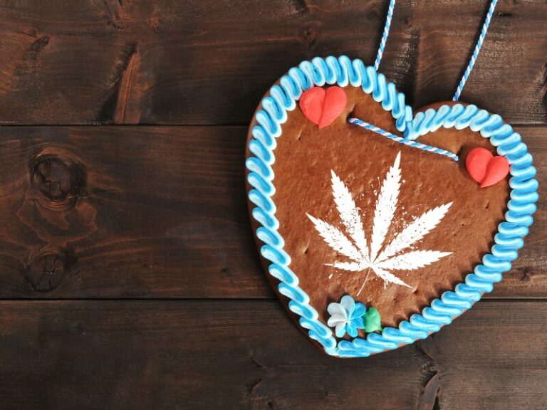 Neuer Online-Kurs in Bayern „Cannabis und Schule: wissen, verstehen, handeln“