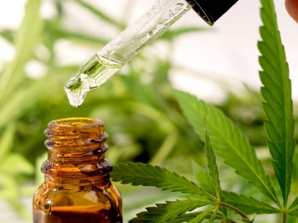 eine Pipette tropft einen Tropfen in ein Braunglas. Cannabis in der Medizin