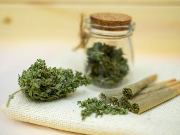 Zu viel Cannabis, kann einen Green Out verursachen. Hier sind pure Gras Joints und Blüten zu sehen.
