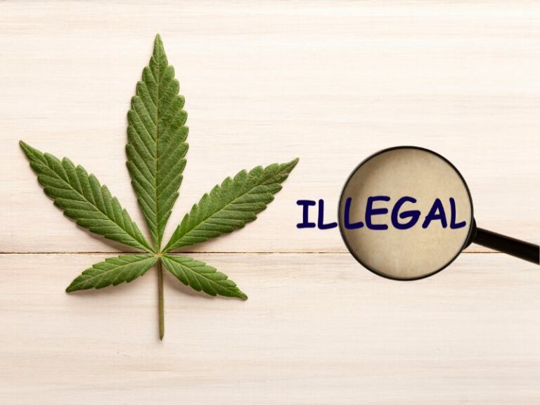 Das CanG.- Chaos. Legalisierung nicht vor Oktober?