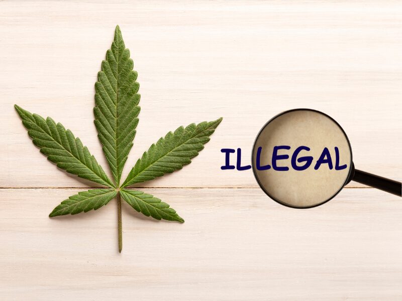 Ein Cannabisblatt und das Wort illegal