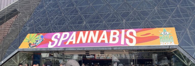 Die Spannabis und Barcelonas Cannabis Kultur